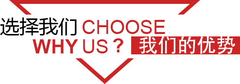 我們的優勢